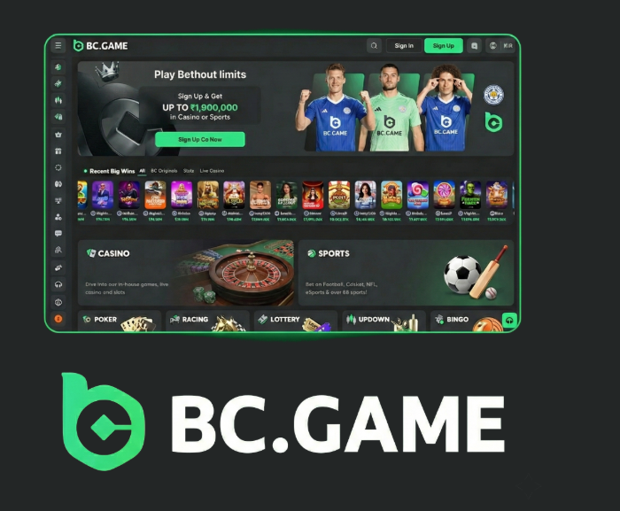 Step-by-Step Guide to the BC.Game Registration Process -217773916