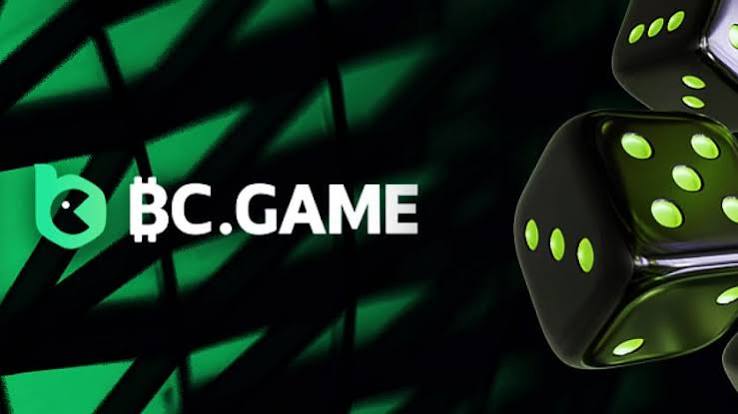 Step-by-Step Guide to the BC.Game Registration Process -219342088